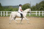 SBM_008711