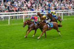 080925-Race 2-Alzahir-7424