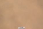 240323A-150824-02384
