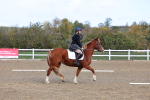 SBM_000991