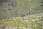 Duddon Long-222