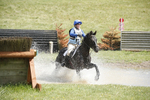 BVHT 140517  IXC -181