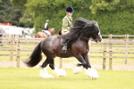 SBM_06226