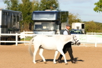 SBM_07985