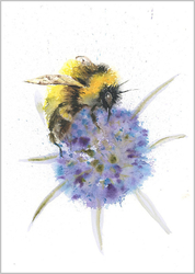 BUZZ portfolio