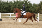 SBM_012014