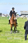 BPP_8986
