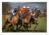 South Pool Harriers Point-to-Point Steeplachases