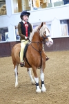 SBM_003442