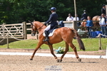 250523A-110554-06219