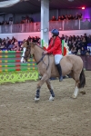 SBM_006652