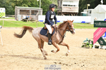 240822X-112612-04722