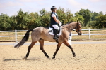 SBM_006515