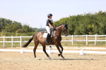 SBM_006528