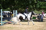 WJ6_5432