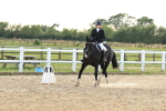 SBM_001918
