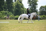 WJ6_7317