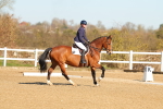 SBM_003434