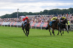 250726-Race 5-Rogue Jewel-7559