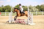 SBM_000597
