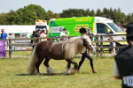 SBM_08818