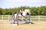 SBM_001372