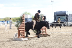SBM_09977