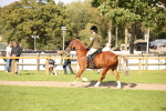 SBM_50070