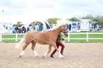 SBM_01217