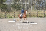 BPP_8525