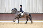 SBM_000645