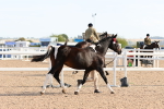 SBM_16958