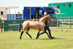 SBM_05564