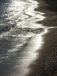 silver tide