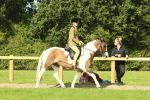 SBM_67437