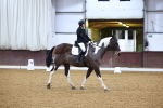 SBM_000842
