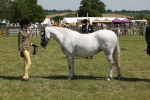 SBM_06767