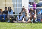 BPP_7665