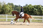 SBM_015342