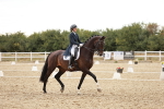 SBM_006870