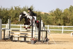 SBM_03855