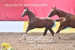 JAC_5853