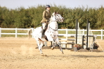 SBM_04042