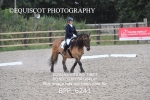 BPP_6241