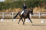 SBM_022591