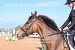 CLASS 2 - FRI - KBIS Club Senior 80cms portfolio