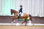 SBM_008145