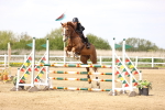 SBM_002257
