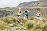 Ingleborough-474