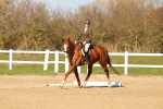 SBM_003433
